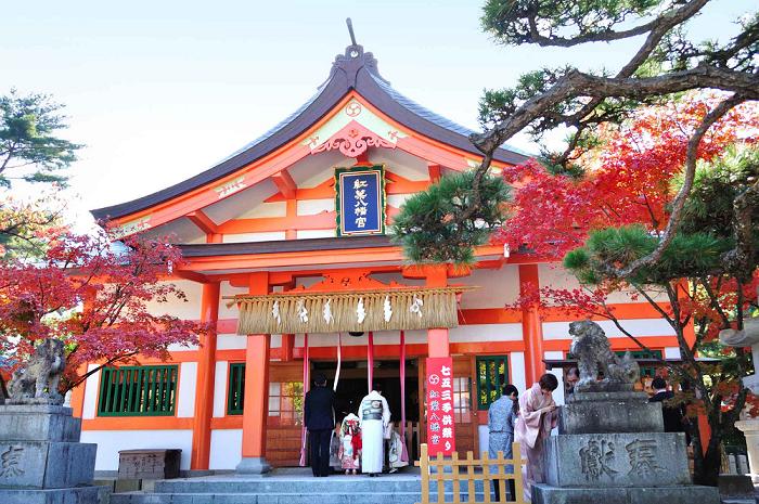CRUCEROS JAPON FUKUOKA CRUCEROS BEYONCE CRUCEROS DESCUENTOS JAPON